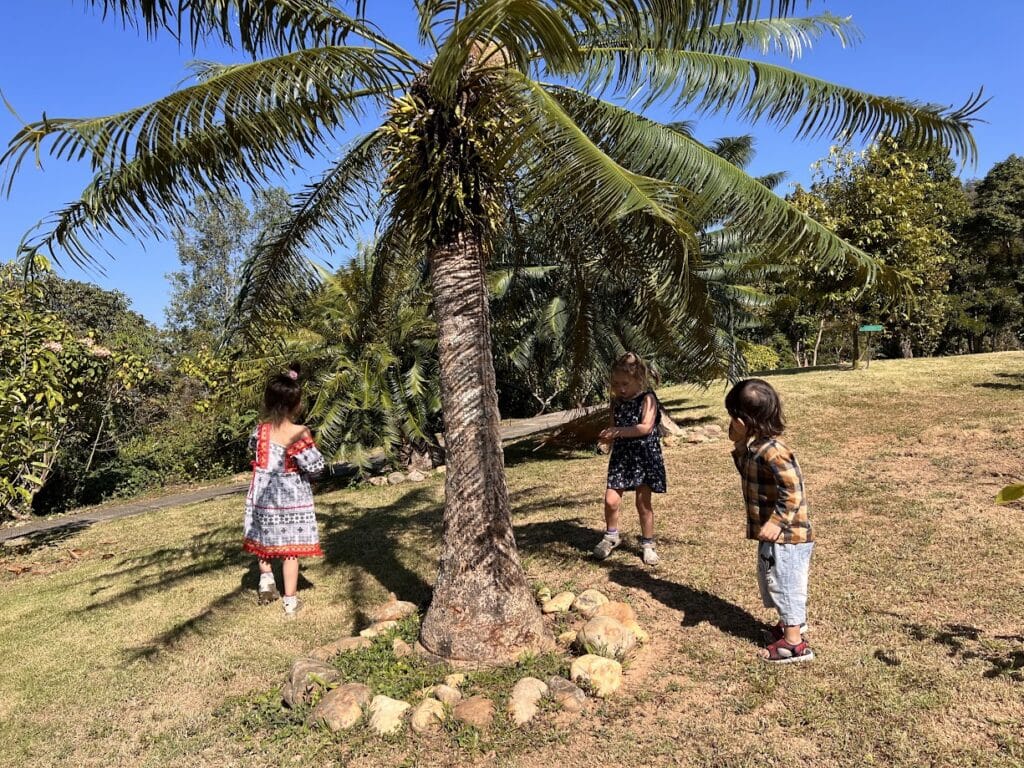 Queen Sirikit Botanic Garden: Botanisk have 30 km fra Chiang Mai 1