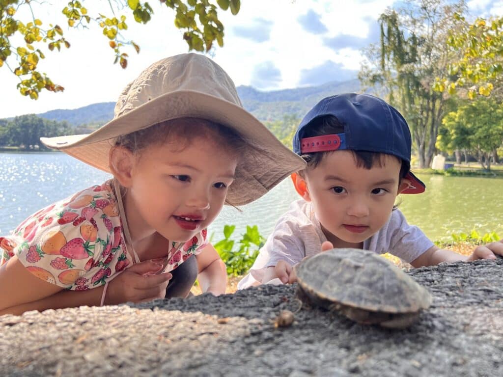 Tag en tur ud til søen ved Chiang Mai Universitet 5