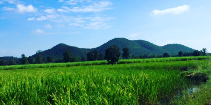 6 ting jeg kommer tilbage til Chiang Mai for