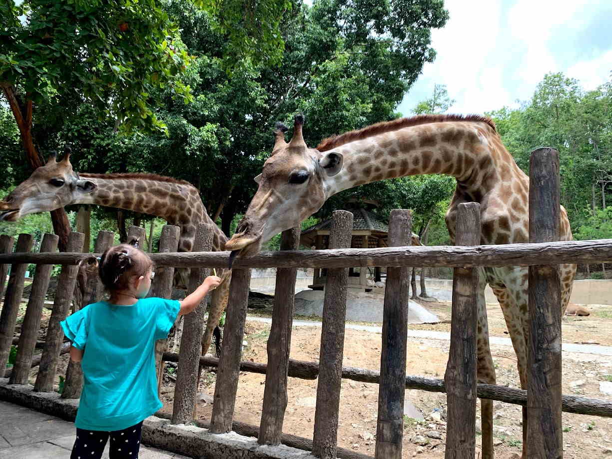 Chiang Mai Zoo