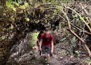 Chiang Rai Trekking