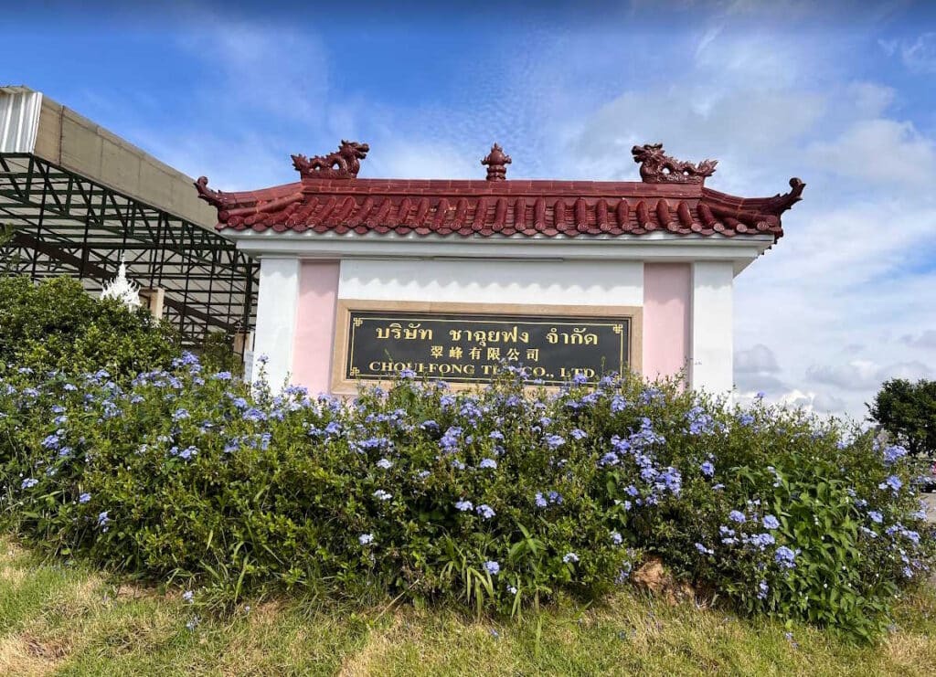 Choui Fong Tea Plantation 1