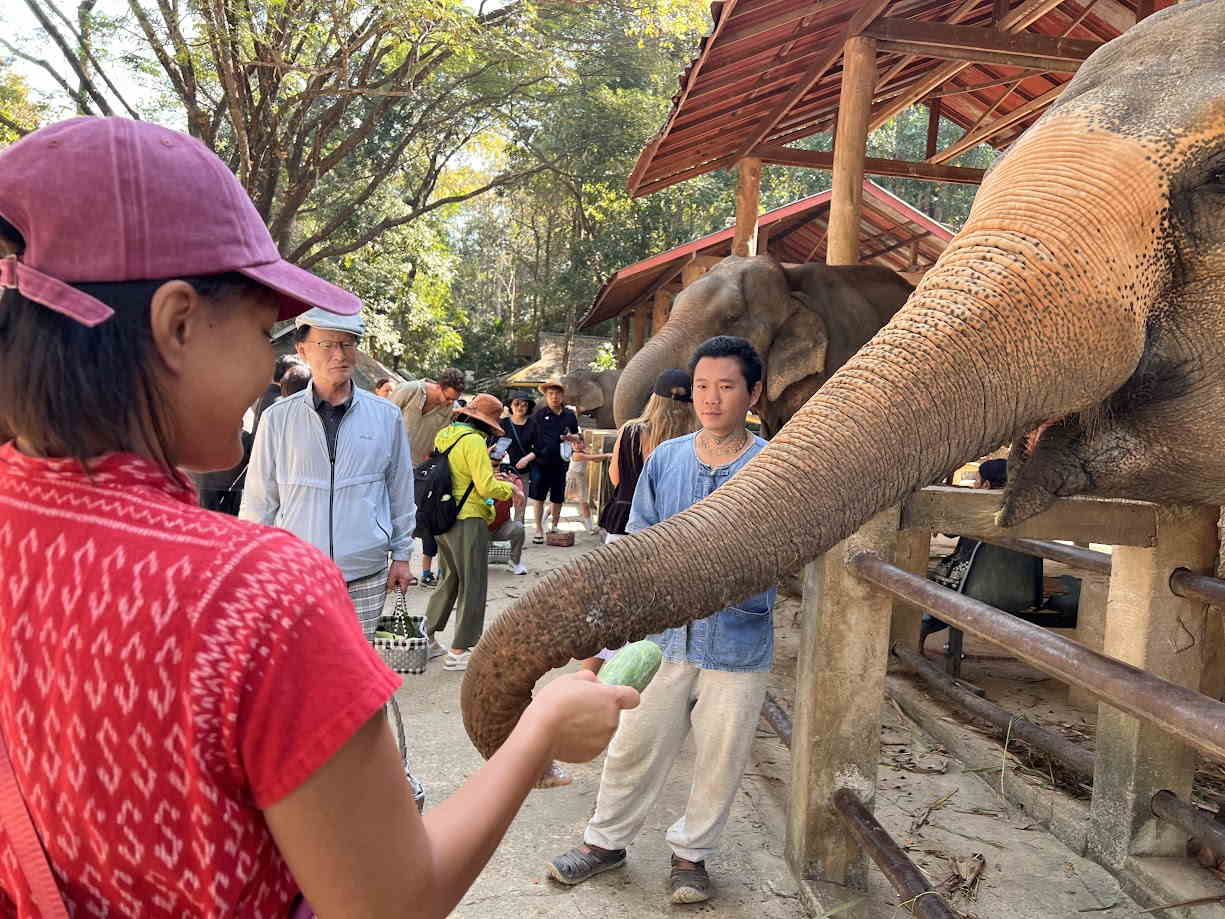 Elephant Nature Park