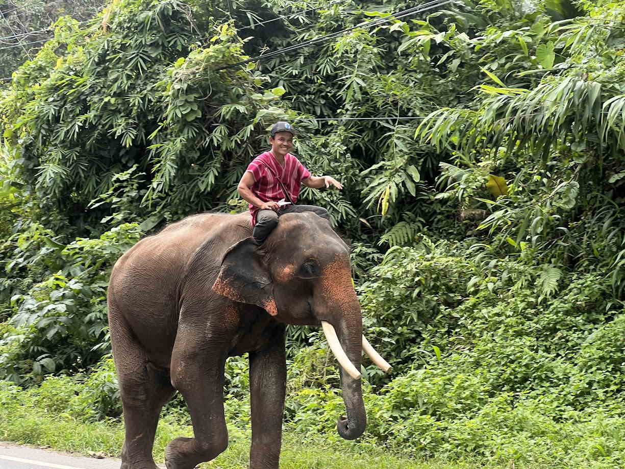 Elephant Nature Park