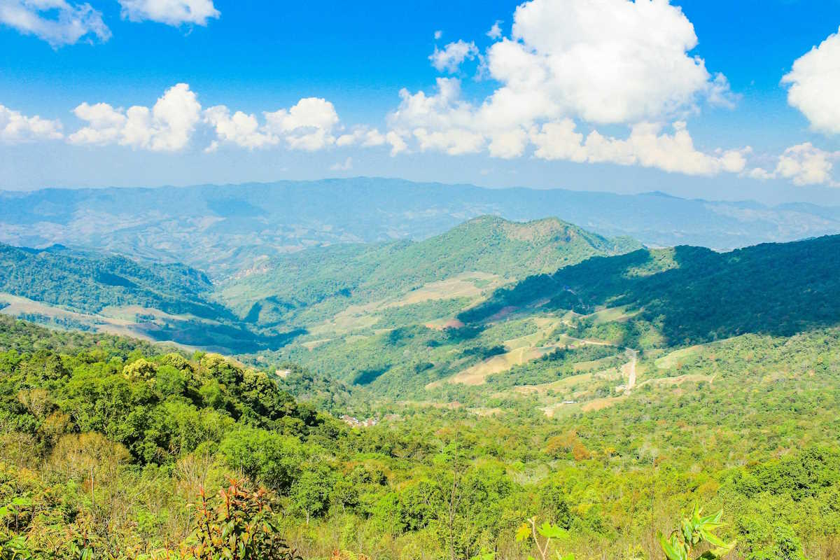 Trekking i Doi Mae Salong