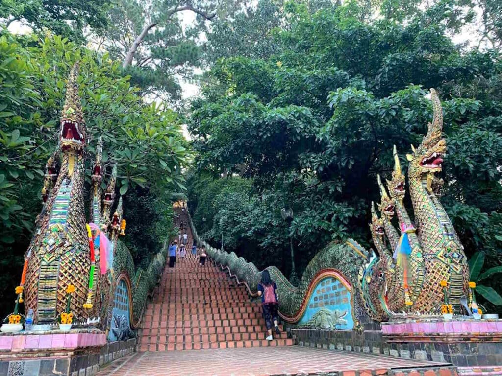 Wat Phra That Doi Suthep trapper